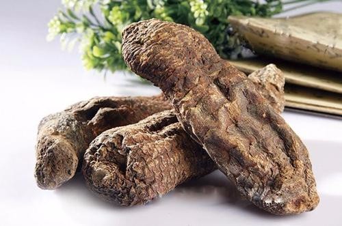 "沙漠人参"——肉苁蓉_百业搜