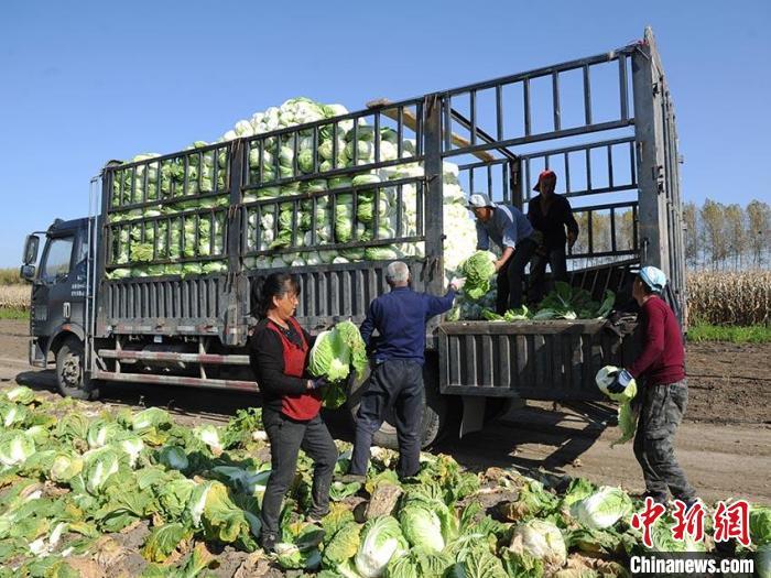 38_长春农安"花式套种"演绎黑土地"丰收变奏曲"_重庆浩强商贸有限公司