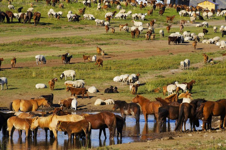 人口密度最低的国家,一平方公里只能看到一个人_出国那些事_丹东百业