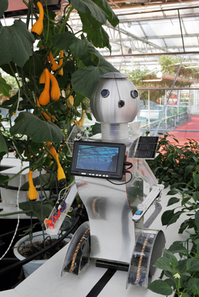 黄花菜采摘机器人图片
