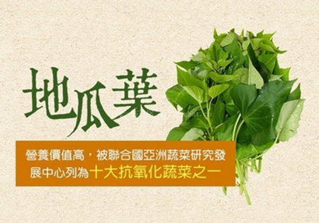 记者求证:1斤地瓜叶顶10斤人参