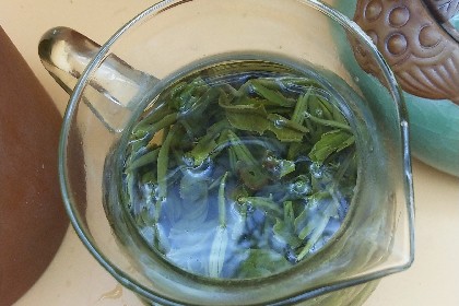 普洱绿茶05.jpg