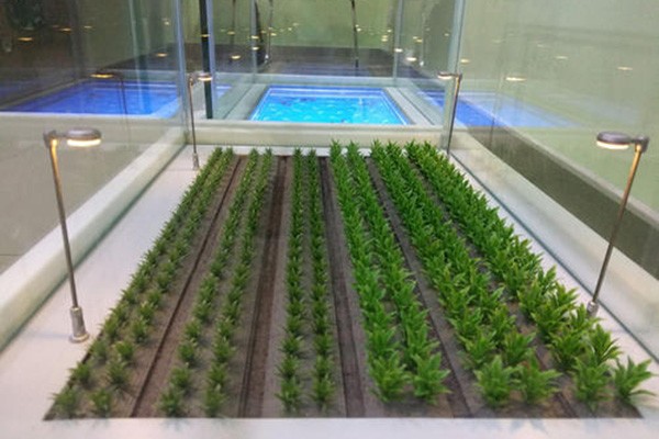 滁州农业沙盘定制，高端模型设计制作经验