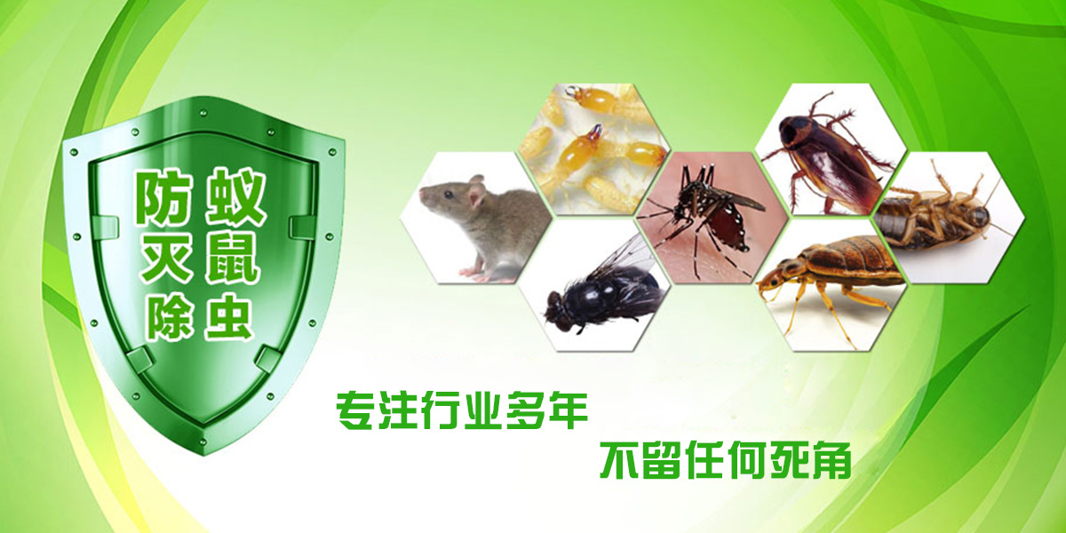 60_在线咨询_佛山南海白蚁防治,小区白蚁预防工程,南海杀虫灭鼠_百业