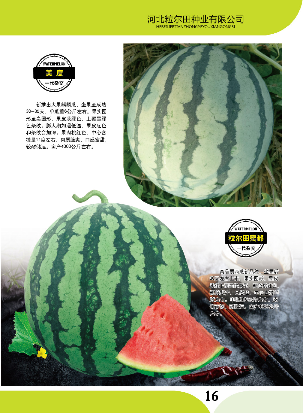 大果麒麟瓜美都西瓜种子肉桃红粒尓田美度西瓜种子市场畅销