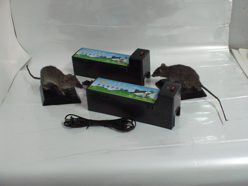 武汉灭鼠除虫服务,免除您的后顾之忧