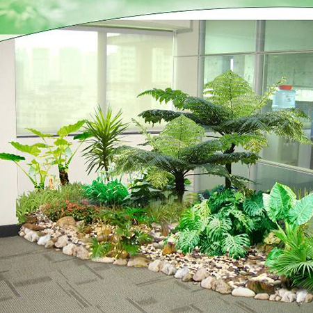 重慶辦公室植物出租，性價比高