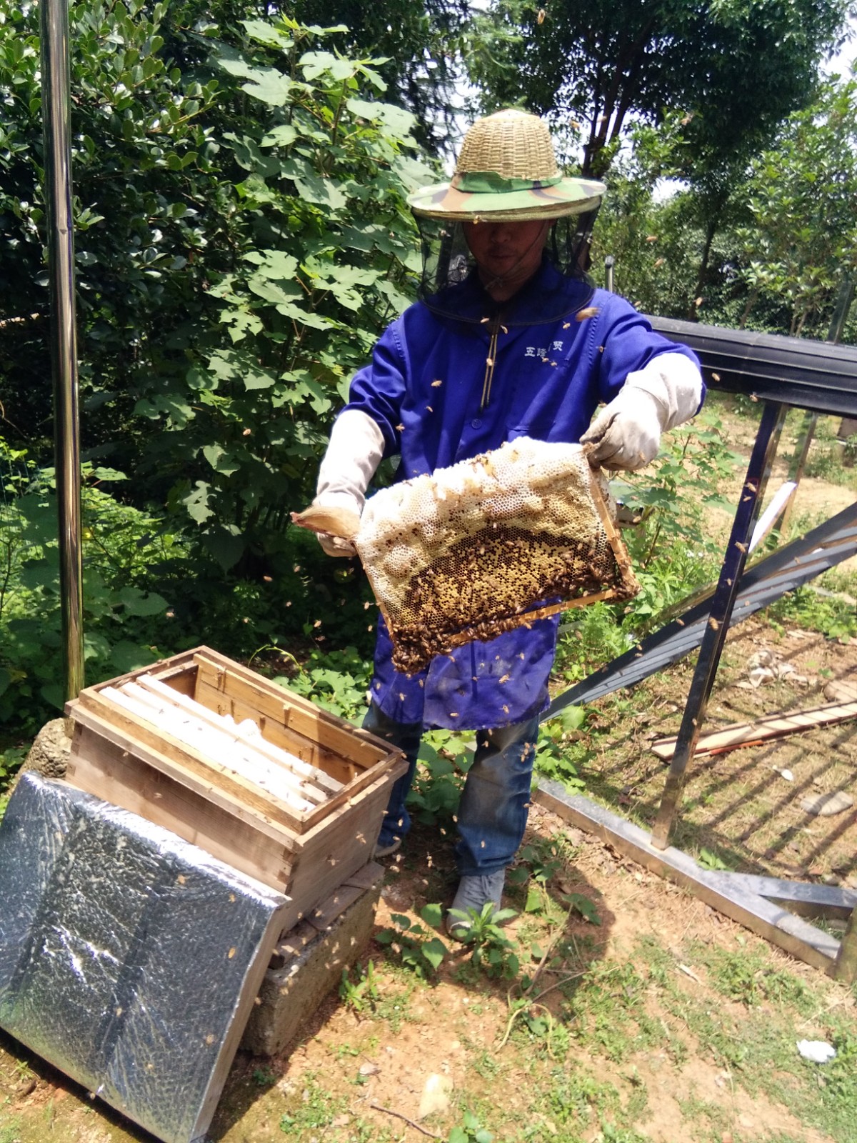 蜂具 养蜂工具出口型养蜂套装防蜂衣养蜂手套J型起刮刀猪鬃蜂扫-阿里巴巴