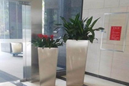 深圳福田室內裝飾綠色植物出租，營造舒適的辦公環境