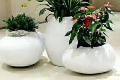 深圳華富花卉租擺價格，價格合理，服務好