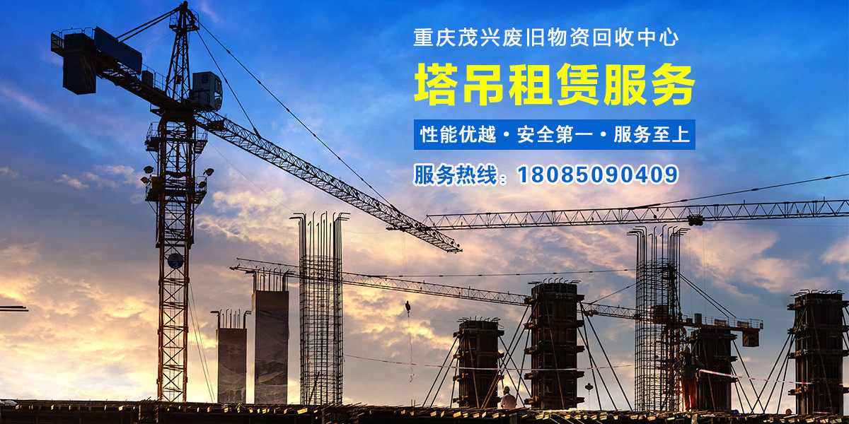 38_南丰出租塔吊,南丰租赁塔吊,南丰塔机租赁_南丰百业搜