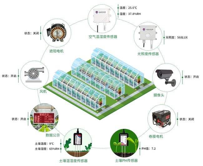 內江溫室大棚環境監測系統，遠程大數據分析