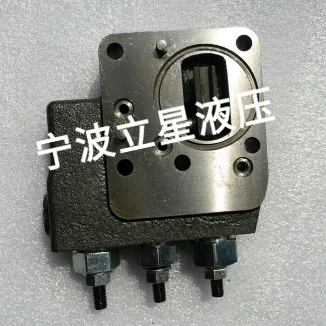 A11VO190LRDS閥189K.jpg