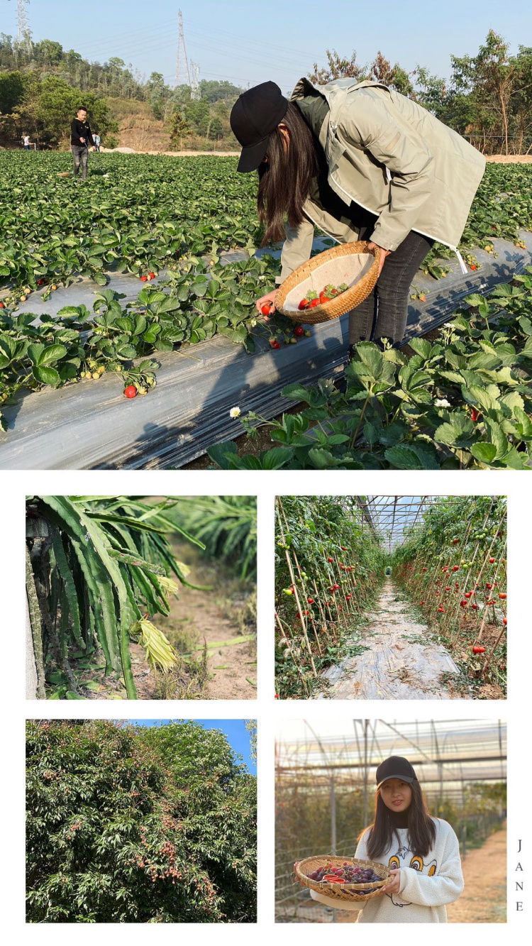 深圳龙岗坪山九龙生态园项目介绍