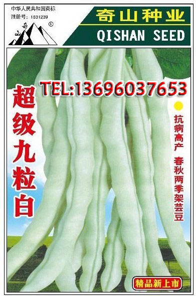 微信图片_20.jpg