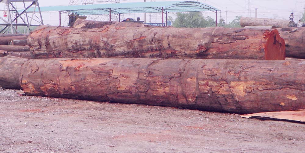 SDC15028.JPG