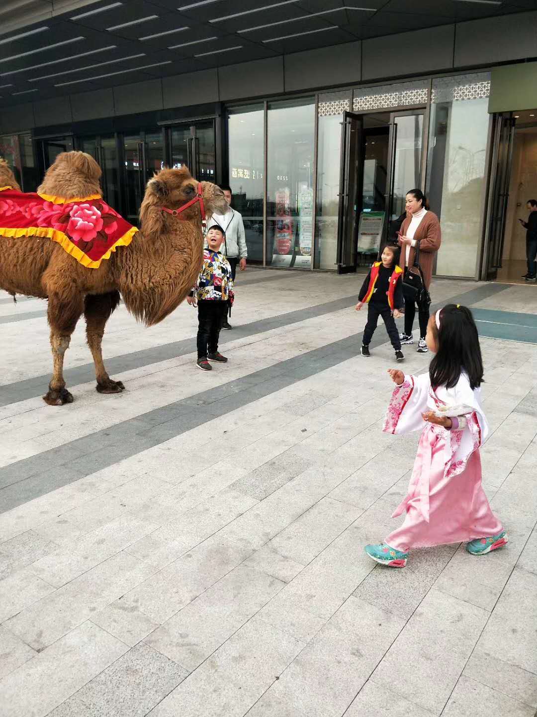微信图片_26.jpg
