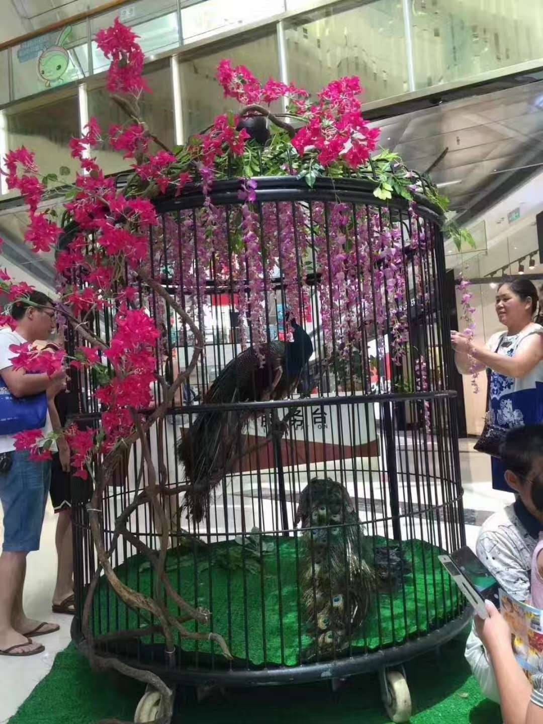 微信图片_27.jpg