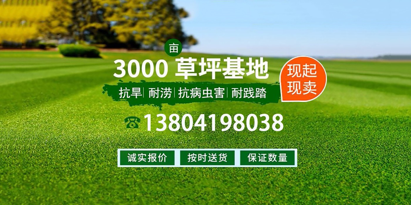 盆栽租摆怎么收费