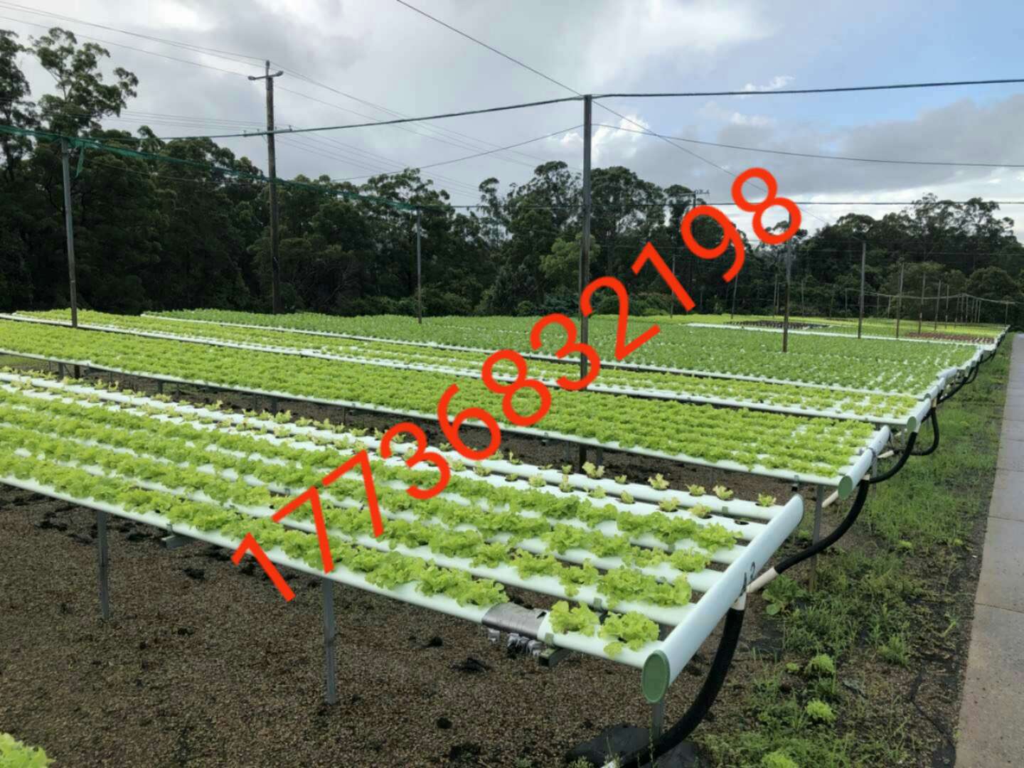 出国劳务派遣是真的吗_出国劳务派_出国劳务派遣公司靠什么赚钱