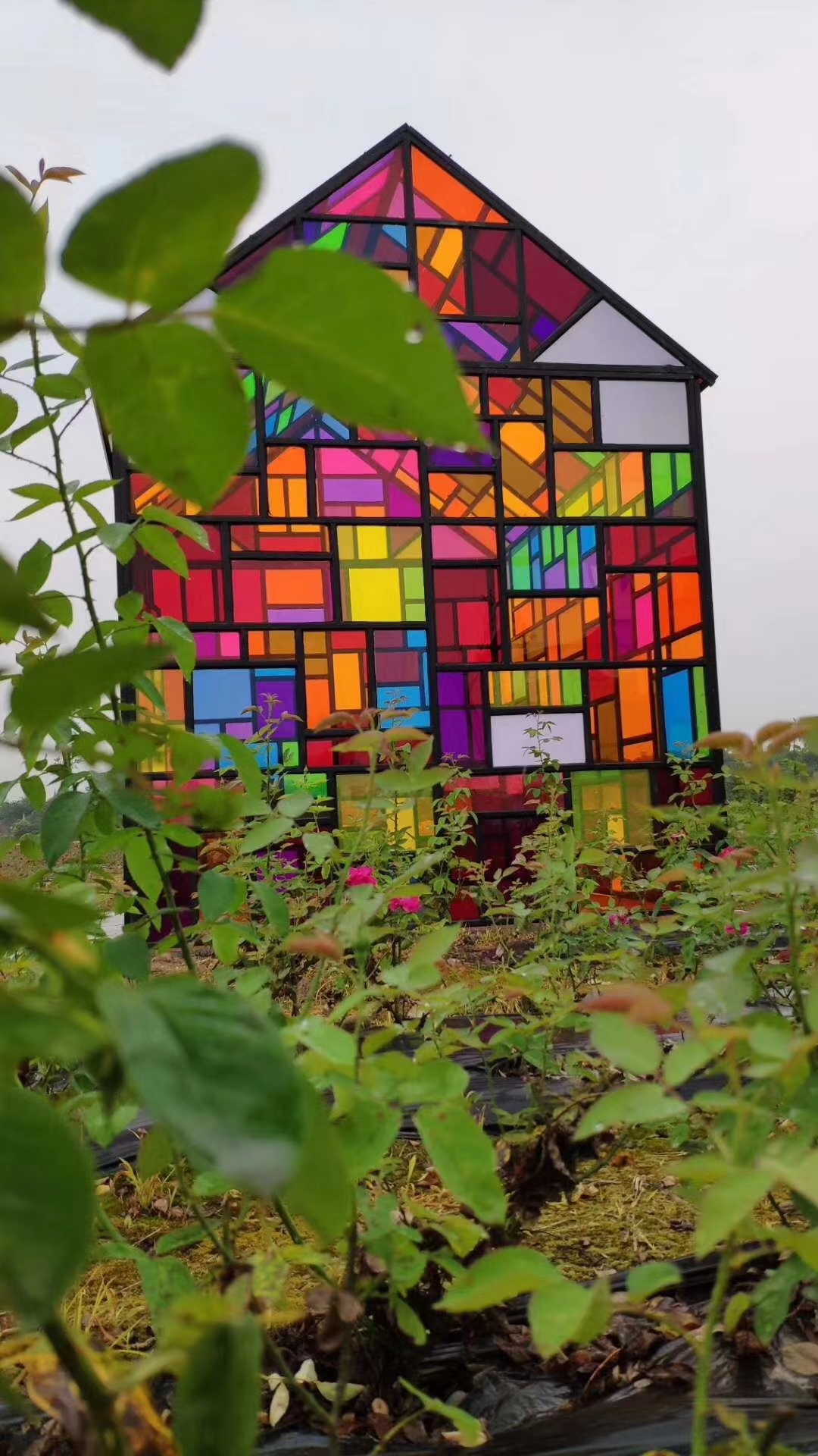 雾屏 蜂巢迷宫 龙袍展 玉玺展 圣旨展 真人抓娃娃机 航天展 七彩小屋