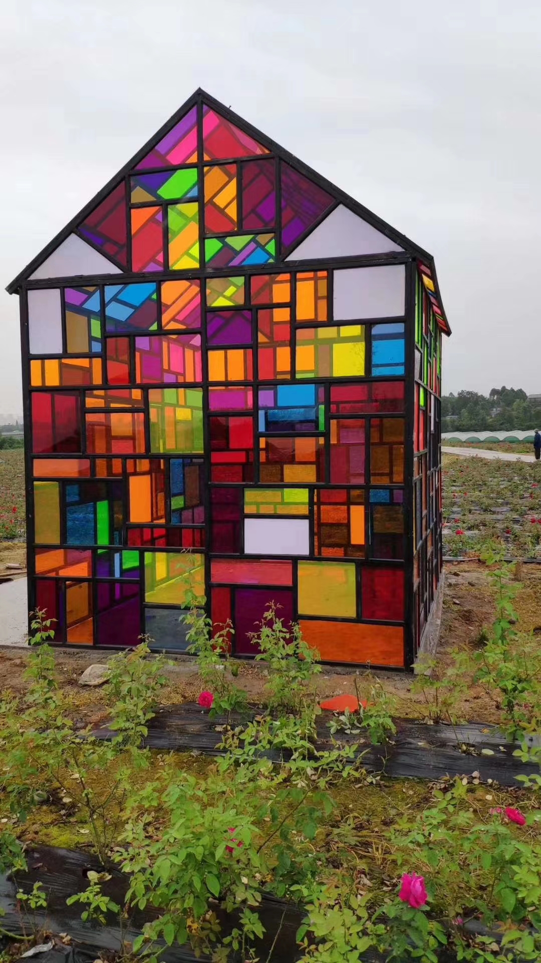 唯美创意七彩小屋出租呼吸的小屋租赁梦幻多彩小屋出租