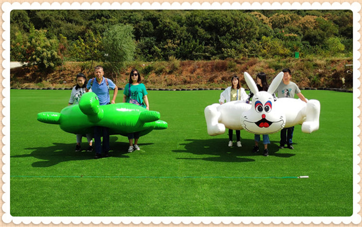 龟兔赛跑 (7).jpg