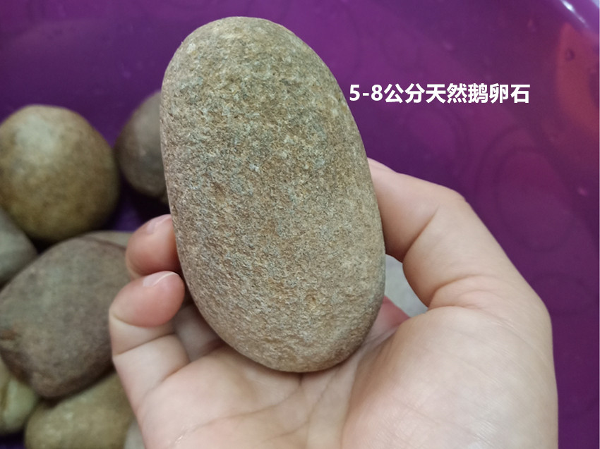 微信图片_20190725102037_副本.jpg