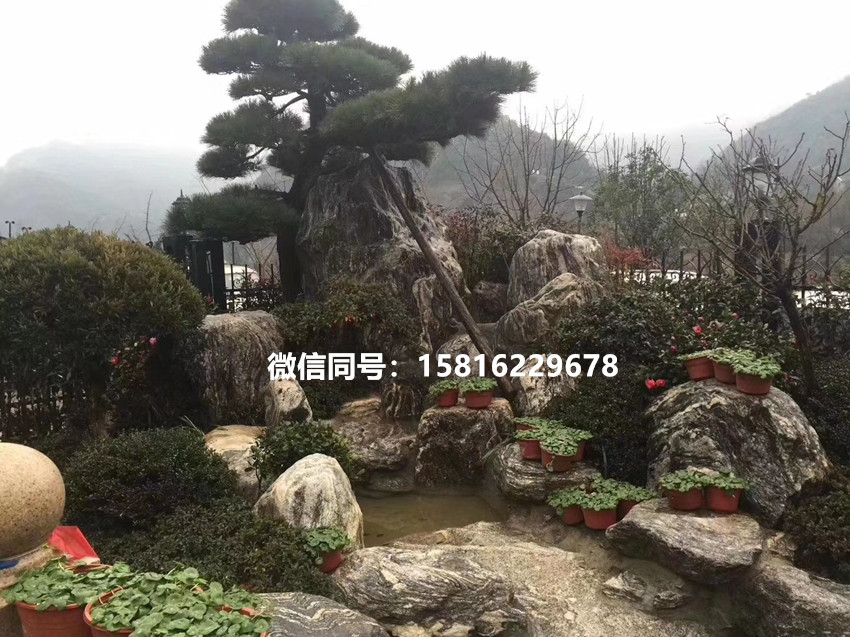 微信图片_2019102210565610_副本.jpg