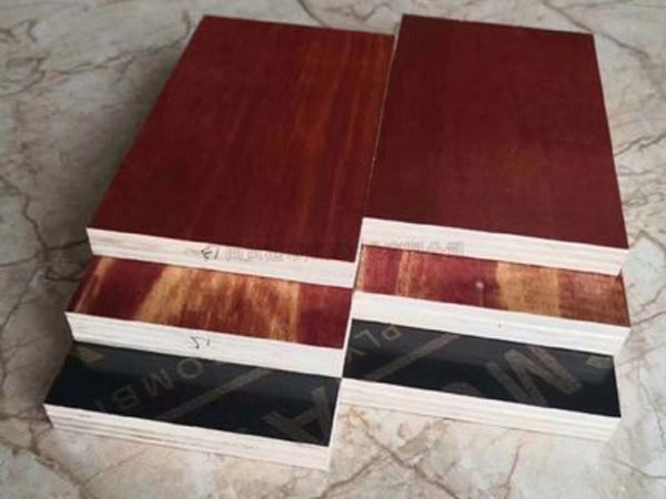 建筑模板常用胶水有哪些