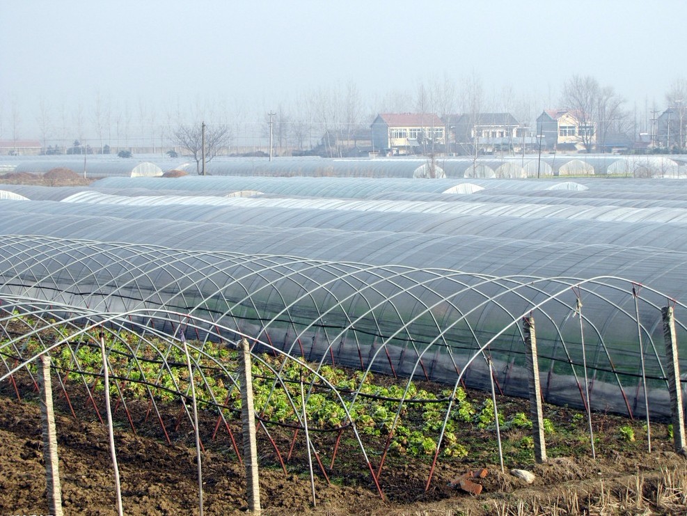 蔬菜温室大棚生产厂家