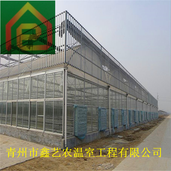 连栋薄膜温室 (4).jpg