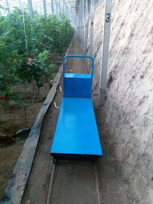 沧州市大昌农业大棚电动遥控直行式轨道运输车厂家