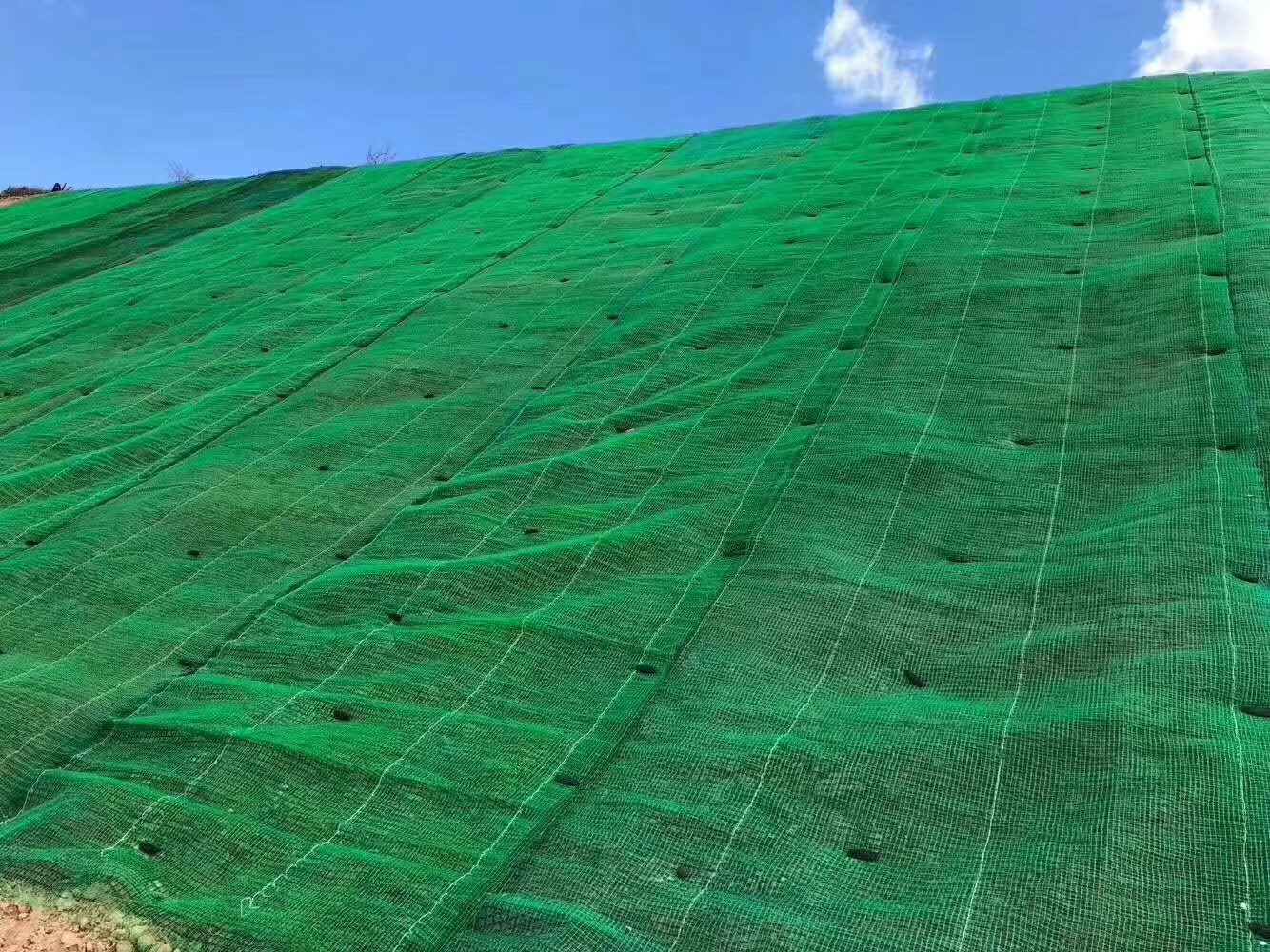 什么叫三维网植草护坡图片