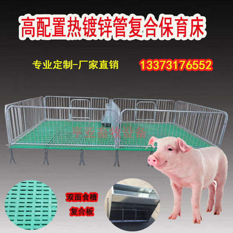 复合保育.jpg