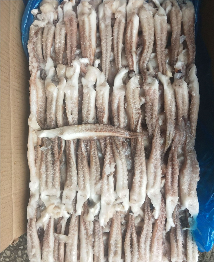 鱿鱼须批发周伟鱿鱼须冷冻鱿鱼须加工厂货源批发