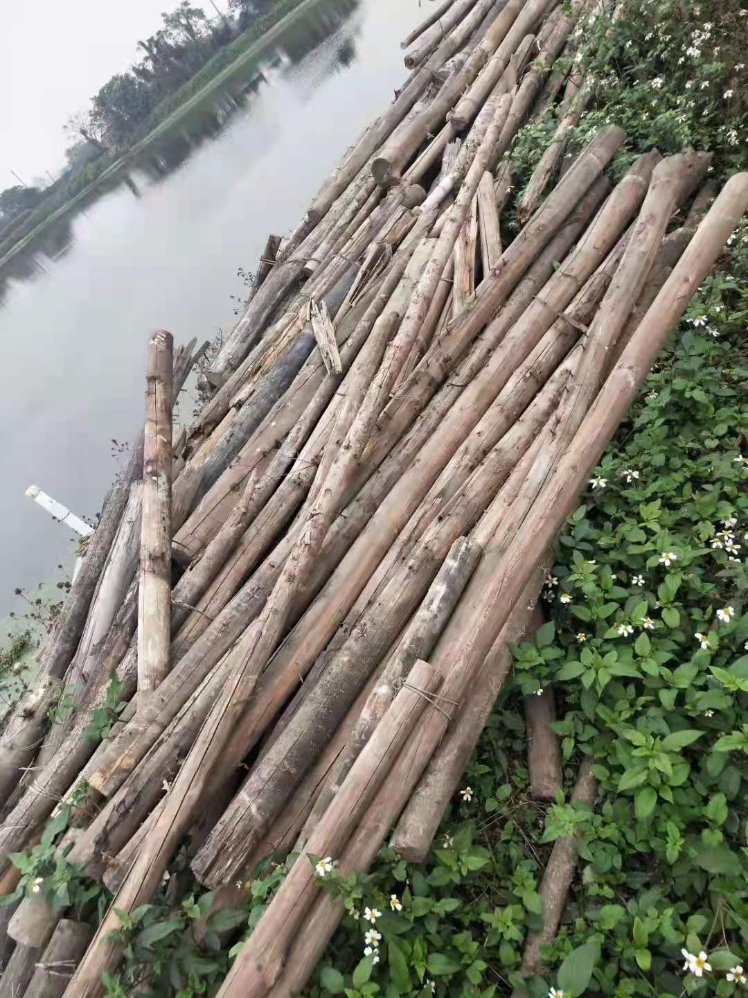 佛山三水区废旧木材收购，专业人员为您解答