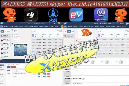 BV飛天后臺(tái)界面.jpg