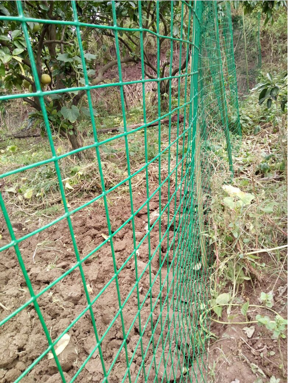 高山养殖畜牧围网养殖铁丝网专业厂家