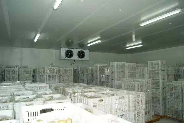 大慶冷藏庫設備安裝，提供專業的設計方案