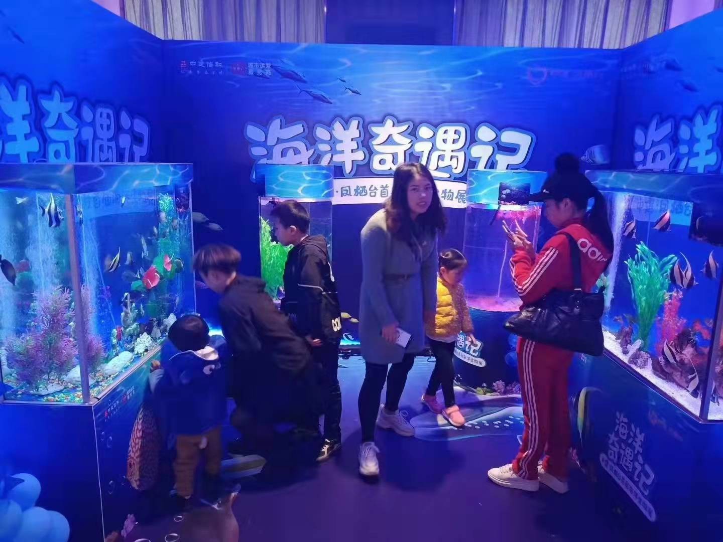 武漢市海洋生物展覽展示，武漢物展務每位客用心服務每一位客戶