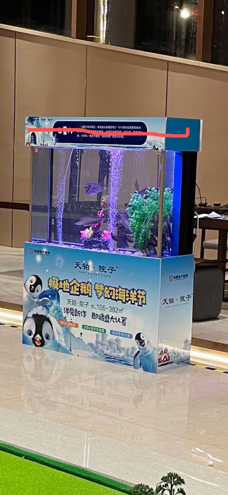 武漢市企鵝展覽出租，多年廣告投放經驗