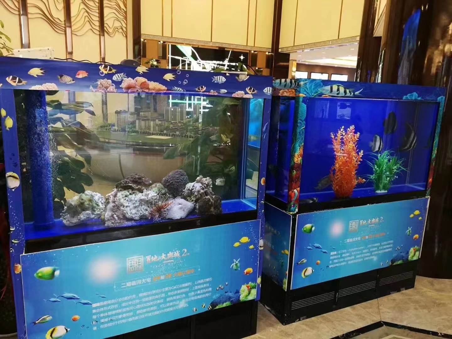 沧州市美人鱼互动表演，免费上门策划方案