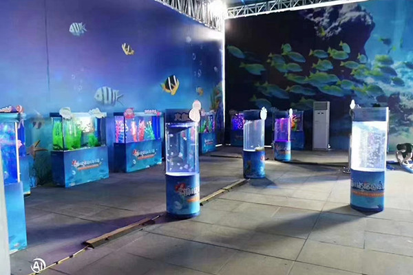 江蘇海洋生物展覽租賃，品種多樣，服務優質
