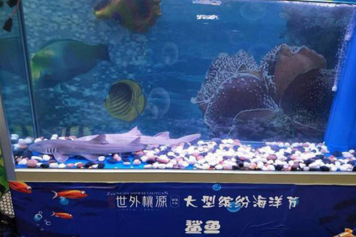 江蘇海洋生物展服務，服務迅速，品類豐富