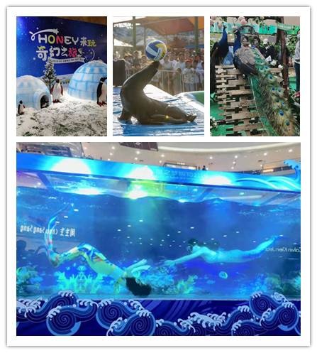 吉林昌邑區海洋生物展覽展示，赢得了客戶的高度贊譽