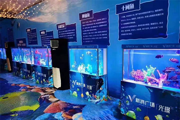 江蘇海洋生物展示，業界口碑良好