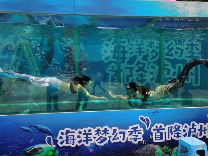 海獅海豹表演矮馬展覽展示，海獅互動表演