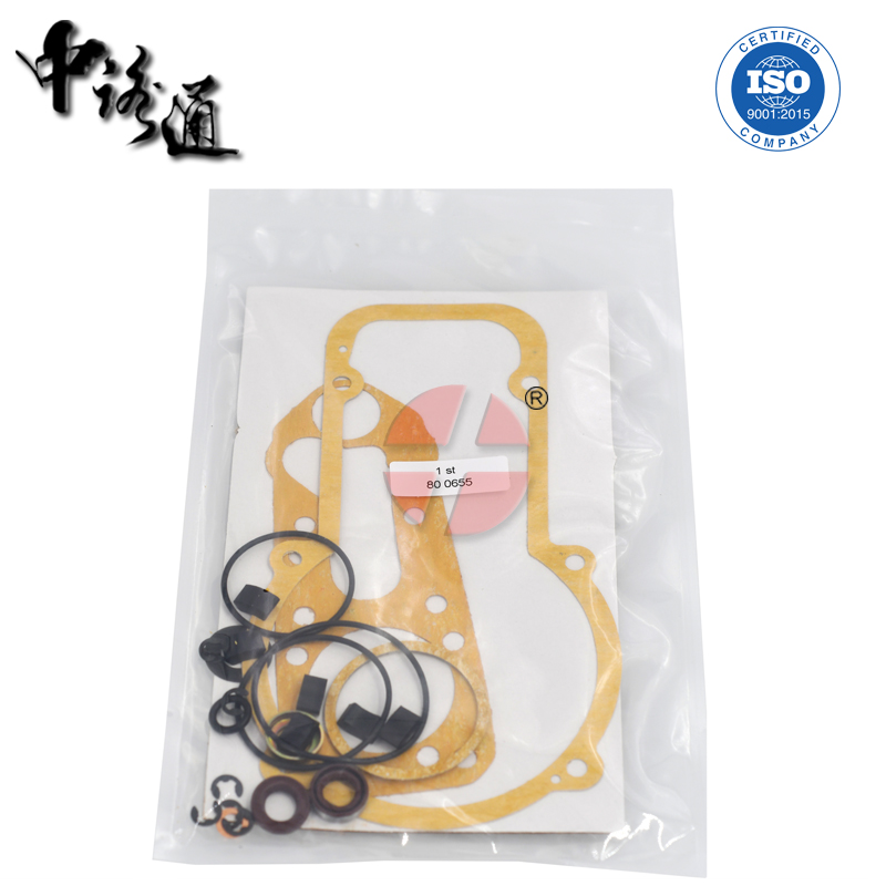 buy-800655-Injection-Pump-Repair-Kit (2).JPG