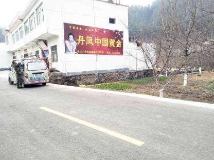 中国黄金商洛丹凤地区（喷绘）墙体广告精选照片远景3.jpg